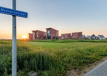 Zwolle stadshagen, 22 terpwoningen 